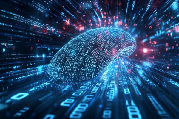 Quelle est mon adresse IP et laquelle choisir entre une IP dynamique et une IP statique pour mes besoins ?